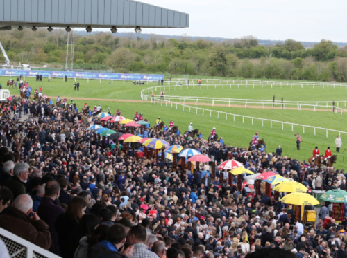 Clive Richardson Ltd - winner Sportsgrounds