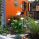 ALCI MEMBERS GARDEN DESIGN & BUILD CLAIMS GOLD AT GARDEN SHOW